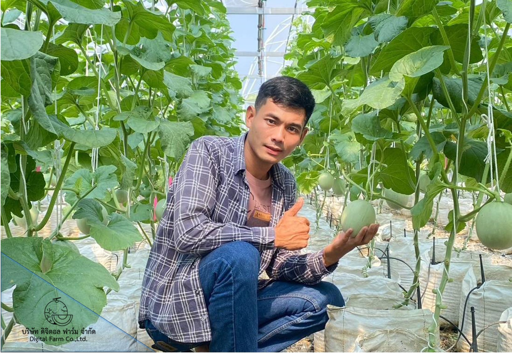 ‘แก้วพะเนาว์ Organic Farm’ ฟาร์มออร์แกนิค ที่ชุบชีวิตผืนดินอีสานให้ปลูกผักได้ทั้งปี