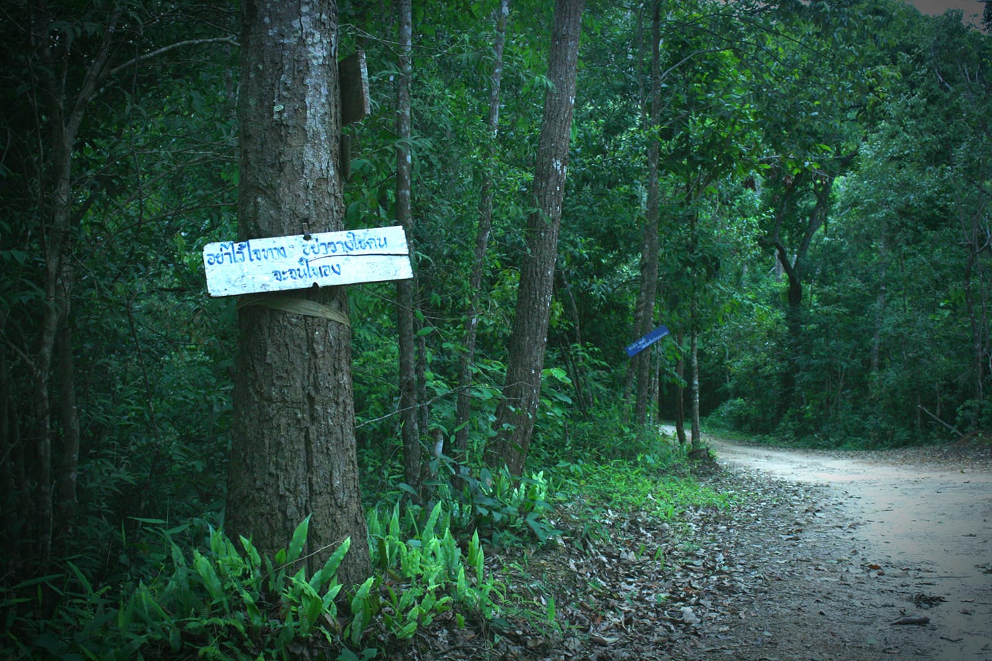 'พ่อหลวงปรีชา' Forest Hero แห่ง 'ห้วยหินลาดใน' 