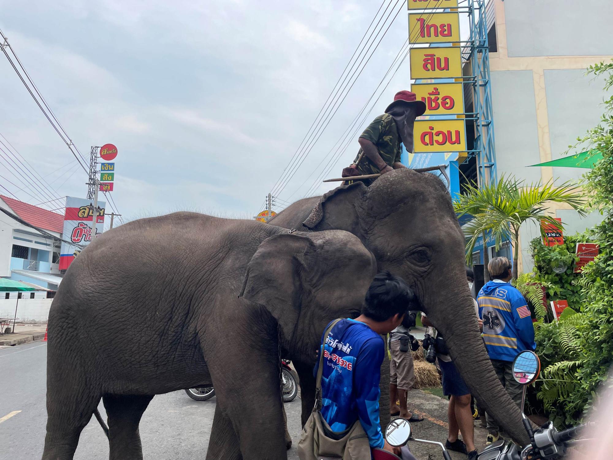 ‘กอนกูยปุระ’ ศูนย์การเรียนรู้เพื่อทำความรู้จักชาติพันธุ์ชาวกูย 